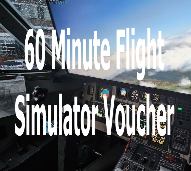 60 Minute Flight Simulator Voucher