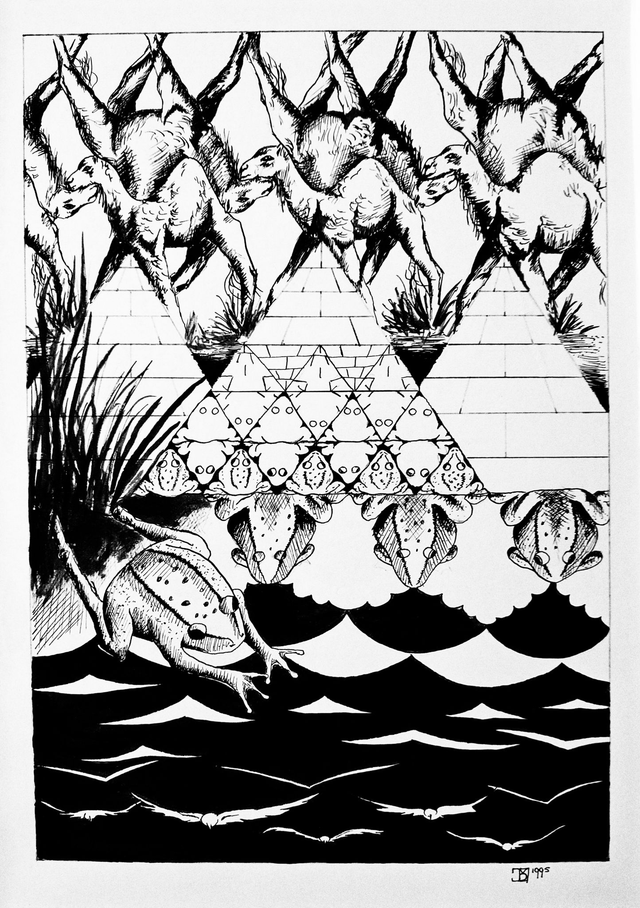 Kaart kikkers en kamelen