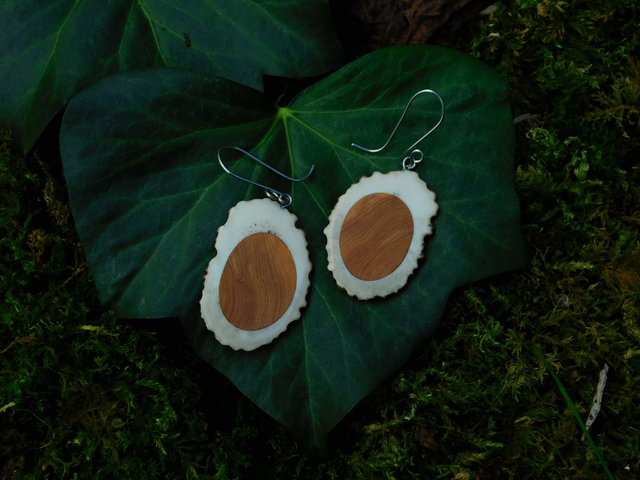 Boucles incrustées de cade