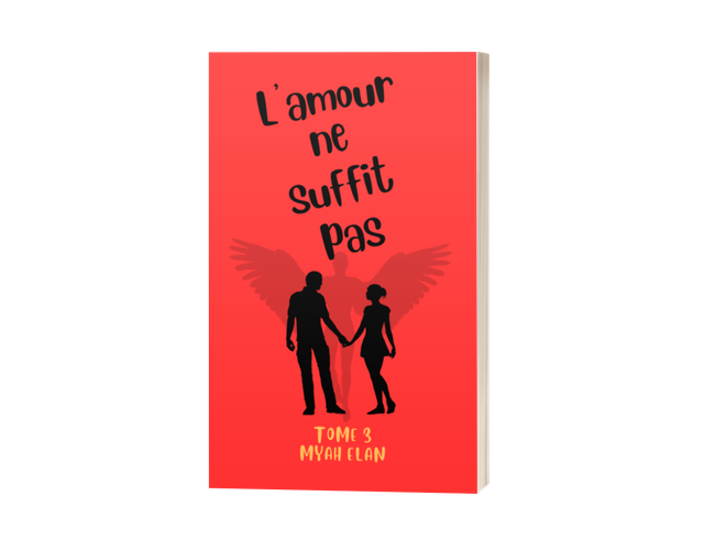 L'amour ne suffit pas Tome 3 - Au nom des cendres