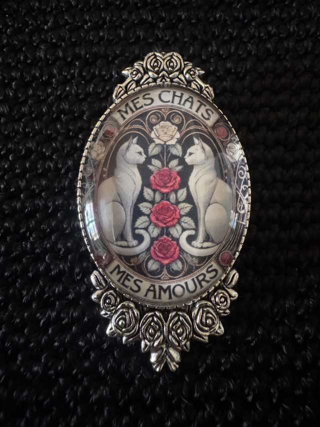 Broche "Mes chats, Mes amours" 1