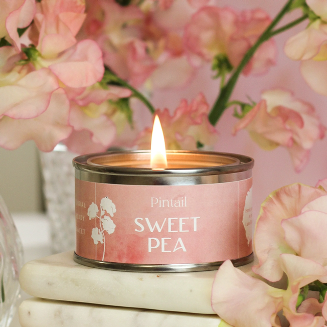 Pintail Candle - Sweet Pea