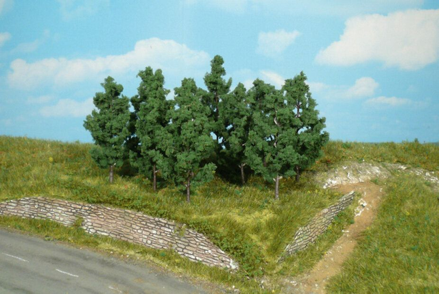 10 peupliers 9cm héki 1220