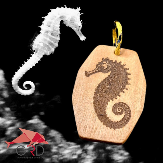 Schlüsselanhänger-Seepferdchen