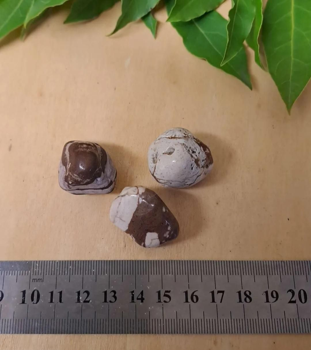 BROWN ZEBRA JASPER TUMBLESTONE