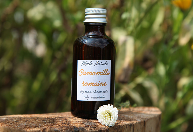 Huile de Camomille romaine  (50ml)
