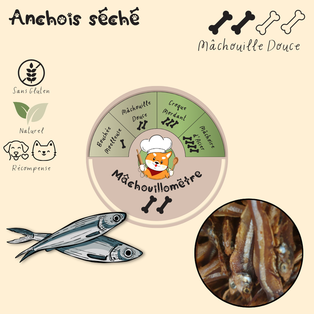 Anchois - 100g