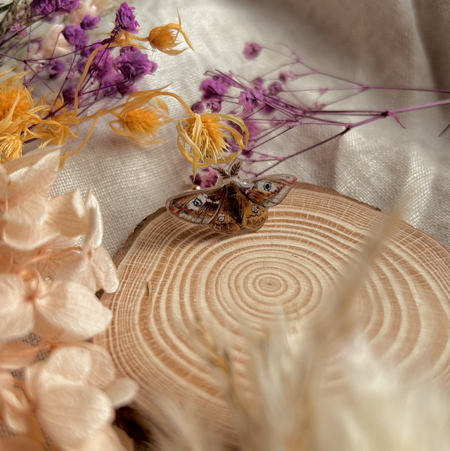 Emperor Moth Ring - Adjustable