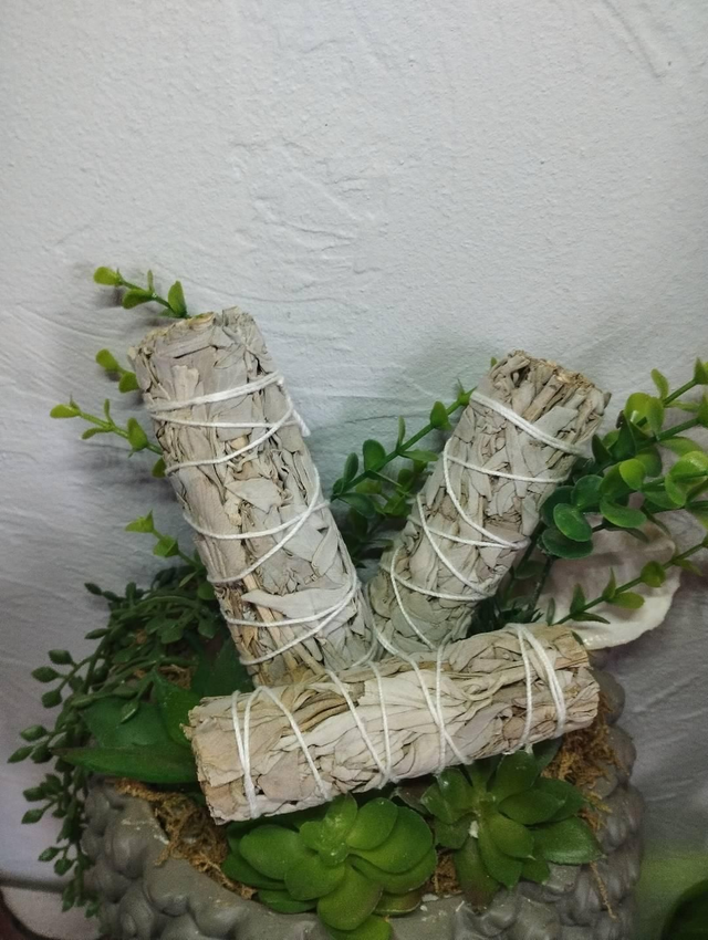 Bâton de Sauge Blanche 