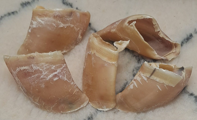 19 - Sabot de Veau 10+2 Offerts