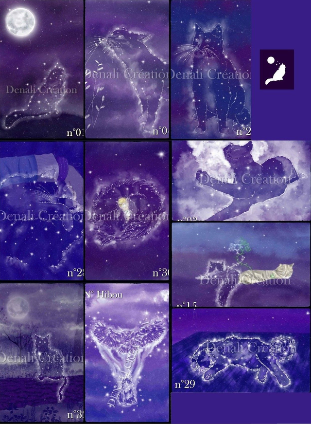 Affiches et posters CHATS