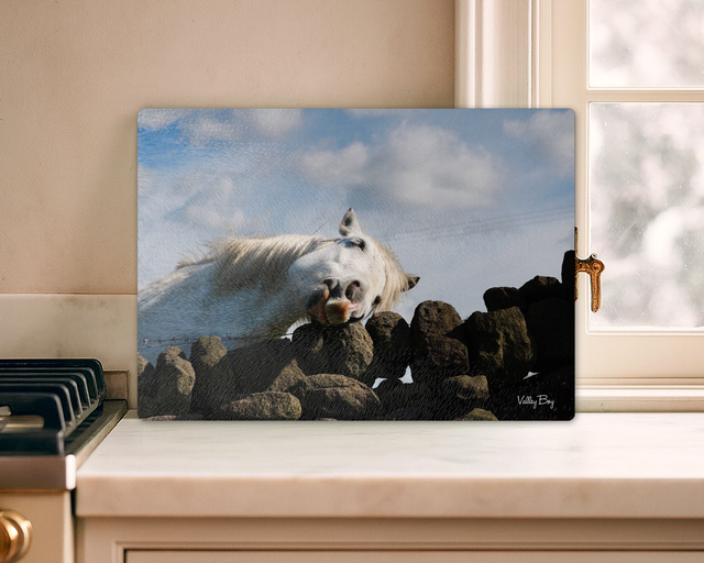 "Sleeping Beauty" Glass Worktop Saver   