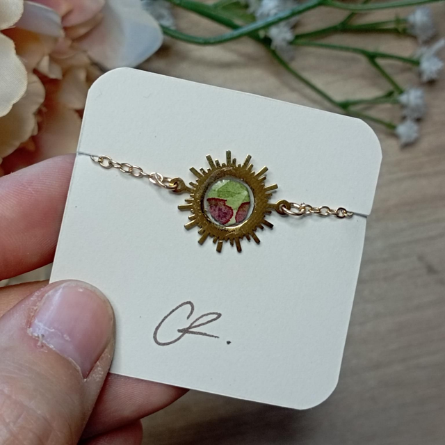 Soleil dans les vignes