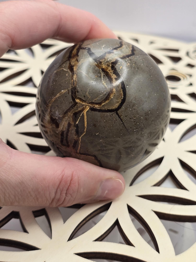 Septaria forme sphère