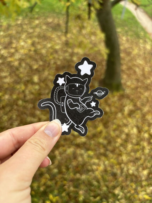 SAMOLEPKA s třpytívým efektem Kočkonaut