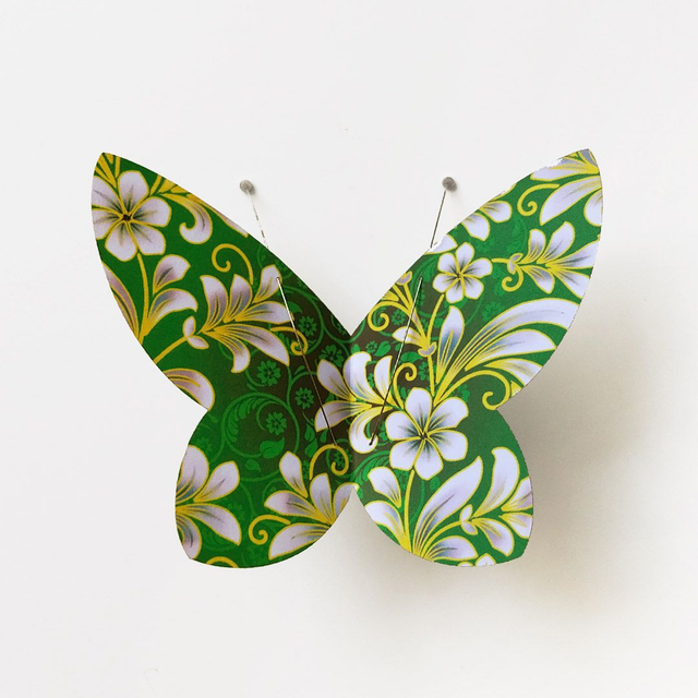 Spécimens série Empire (lot de 5)