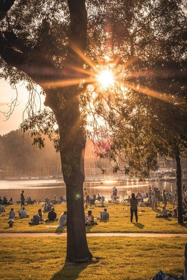 Sommerabend auf der Aaseewiese