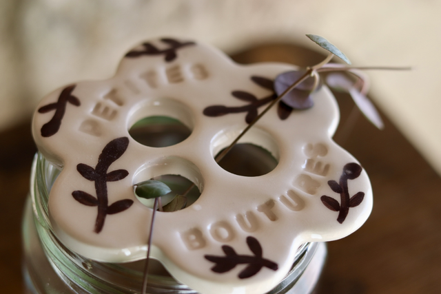 Disque de bouturage 🌱