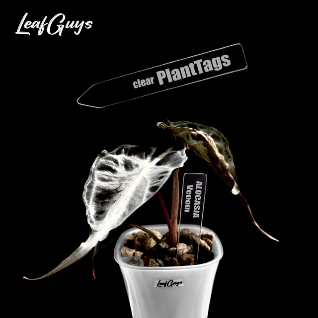Plant-Tags