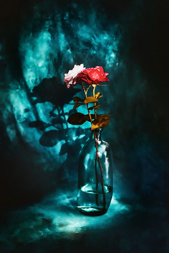 Tirage "La reine rouge et la reine blanche"