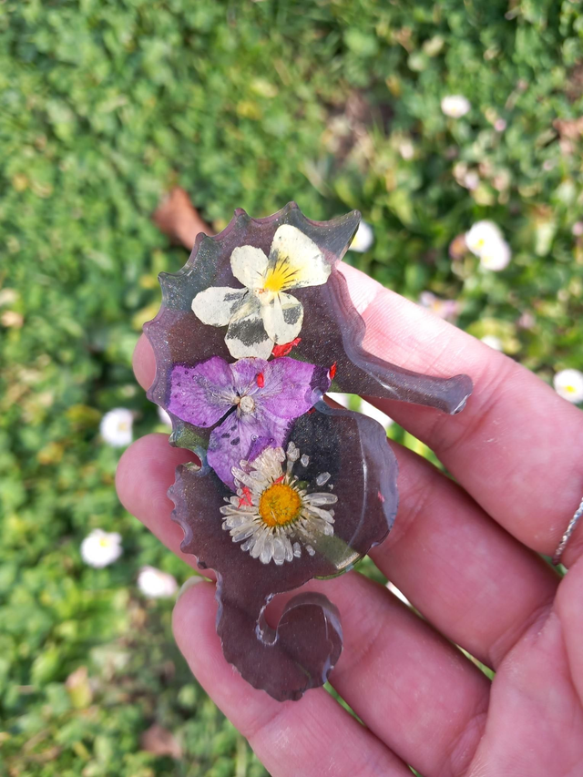 Magnet Hippocampe (1)