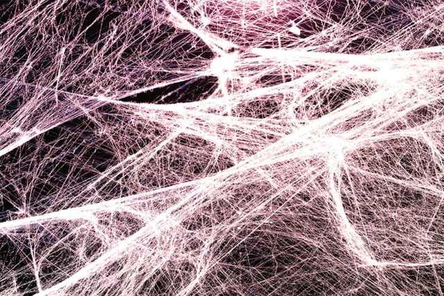 Allenamento Fasciale