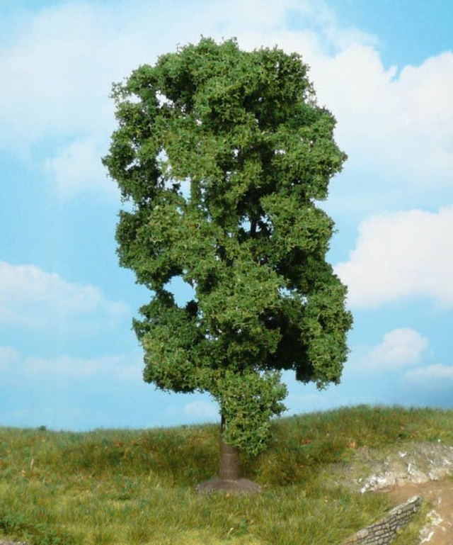 Tilleul 18cm Héki 1910