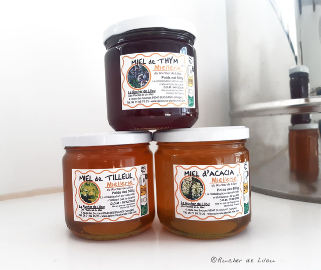 6 Miels de 500grs - 2x Acacia - 2x Tilleul - 2x Thym