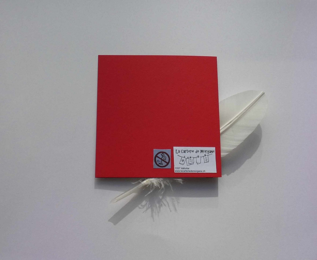 L'étoile filante des fêtes de fin d'année