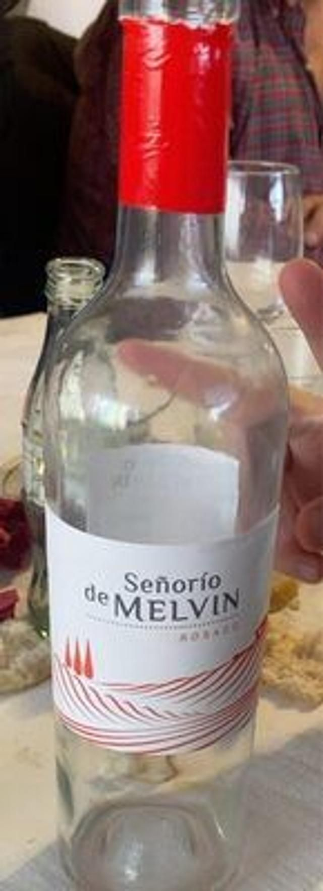 SEÑORIO DE MELVIN ROSADO