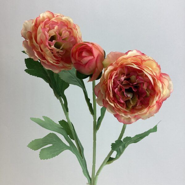 Ranunculus Spray Pink/Cream