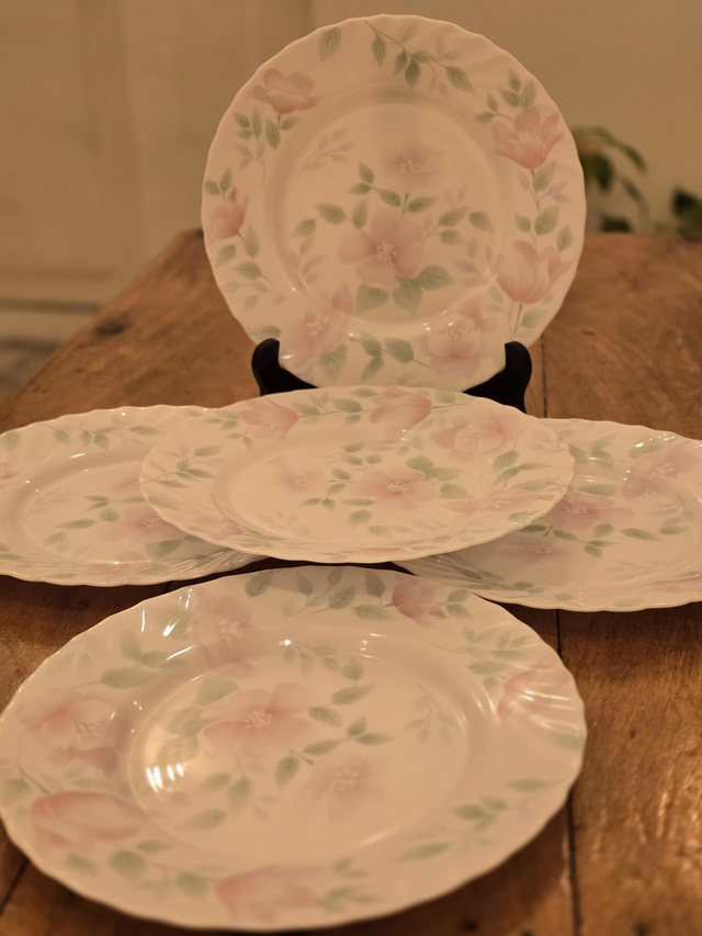 Assiettes plates Arcopal Florentine 