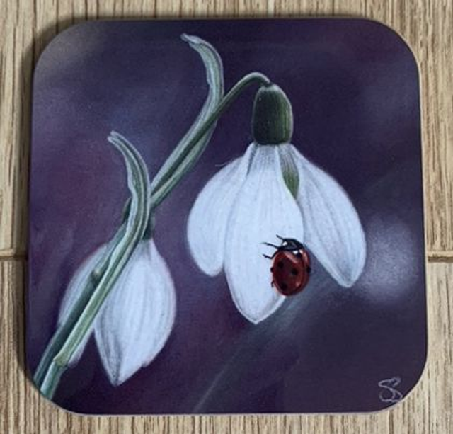 Coaster - Ladybird on Snowdrop design