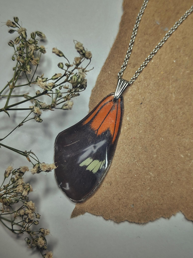Real Butterfly Front Wing Necklace