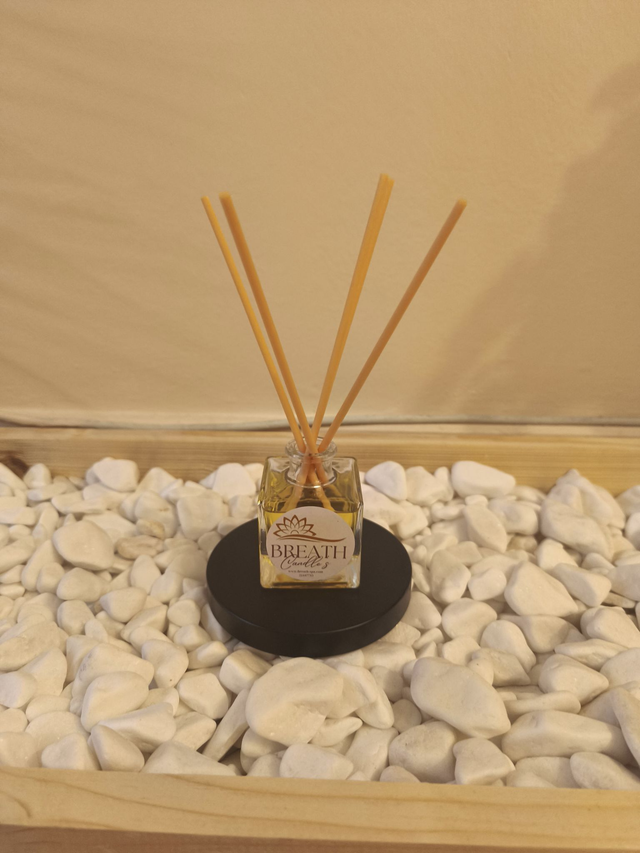 HOME DIFFUSER  By VASILIS