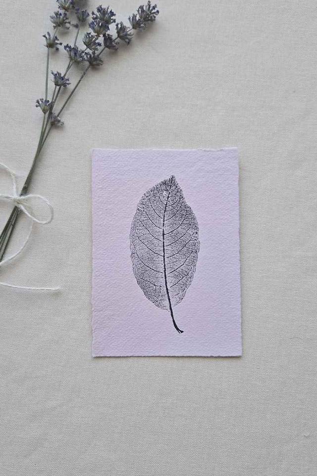 Monotype Végétal Saule de Bab - Impression Unique sur Papier Légèrement Rosé