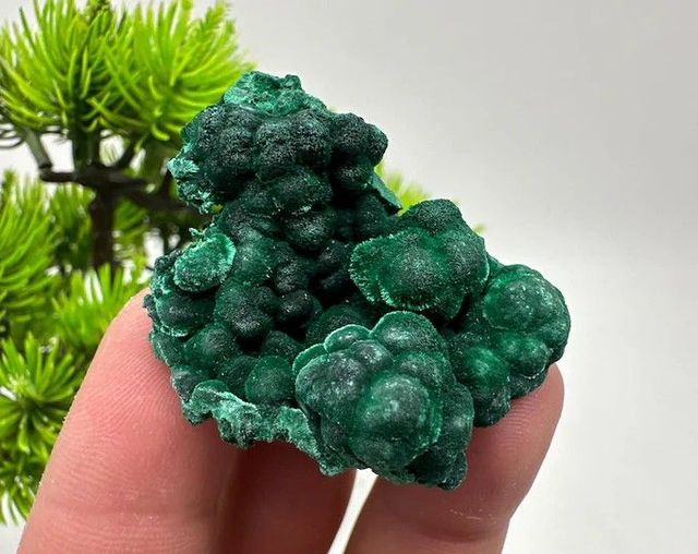 z02 . Malachite fibrosa