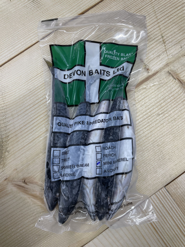 Spanish mini mackerel 5 pack 