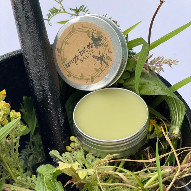 Bug bites salve