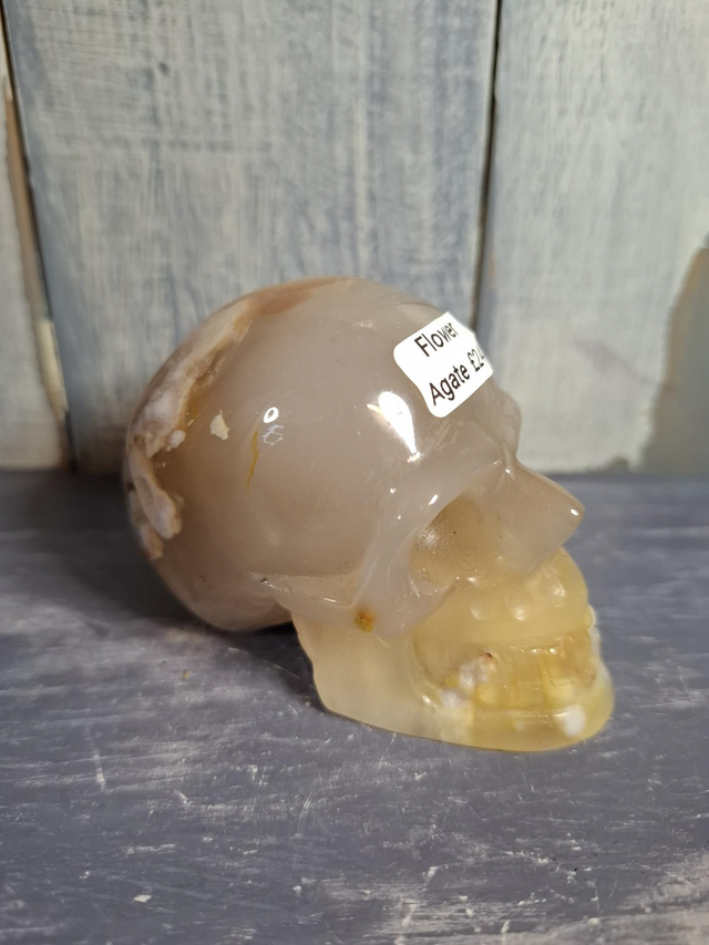 Flower Agate Skull 