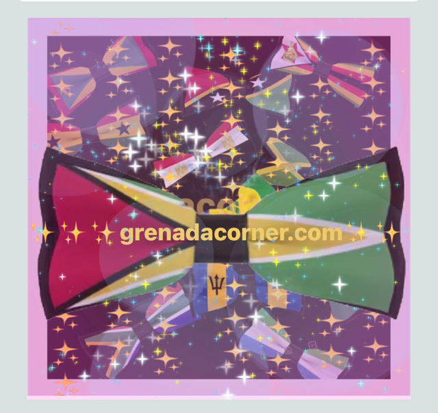 🇬🇾GEO PPC - BOWTIE 