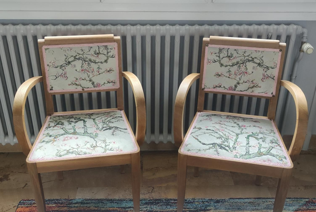 Paire de fauteuils avec accoudoirs 