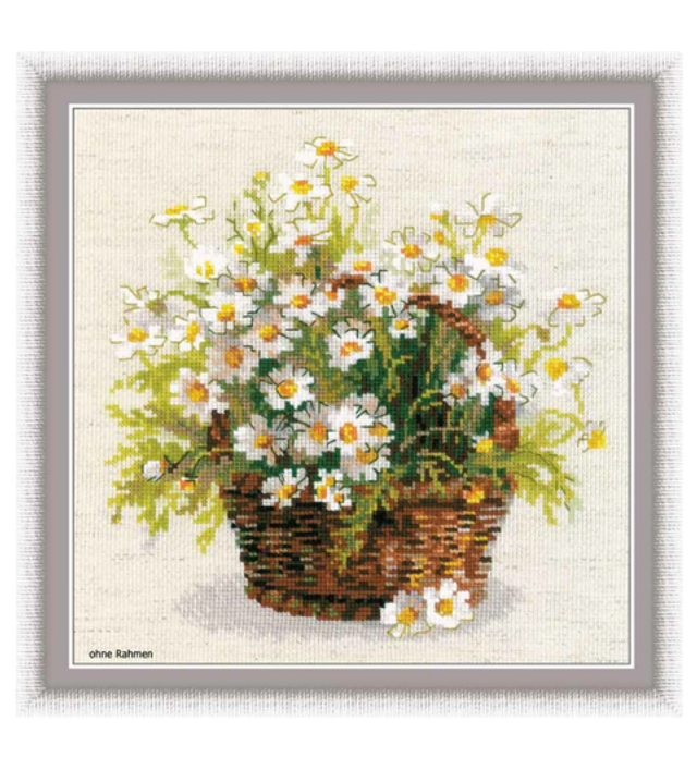 Russichen Gänseblümchen