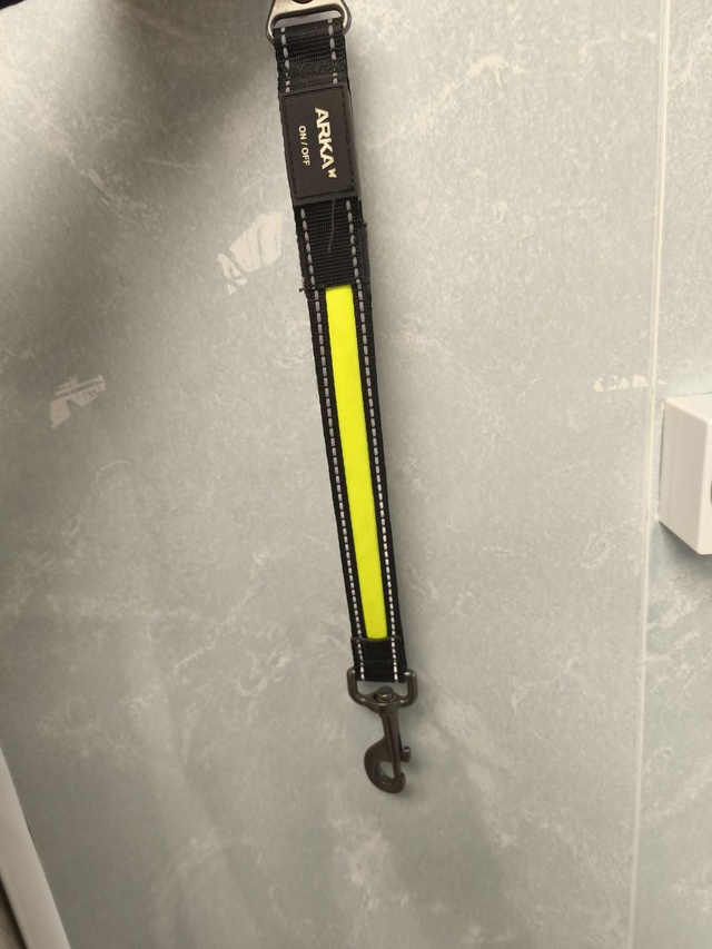 ralonge laisse  lumineux rechargeable usb 