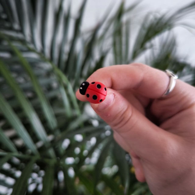 Mini pins - Coccinelle 