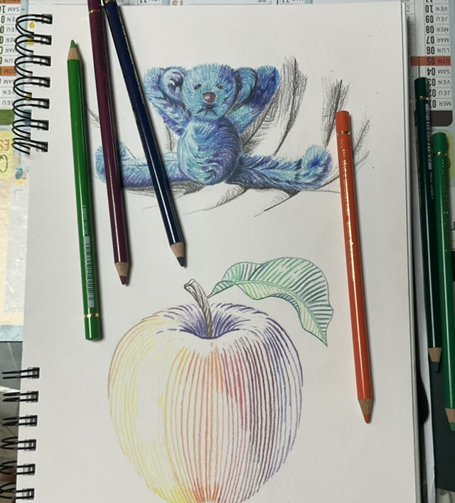 Abonnement : Le dessin en 10 séances de 2h