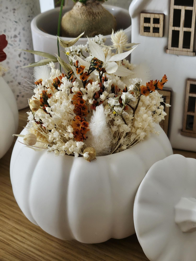 Citrouille fleurie 2