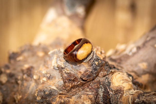 Ring: Sonnenkern – Handgefertigter Holzring 19mm