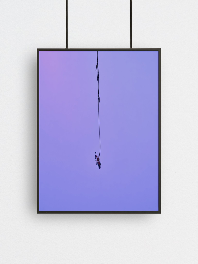 Flat Earth (4), Fine Art Print 