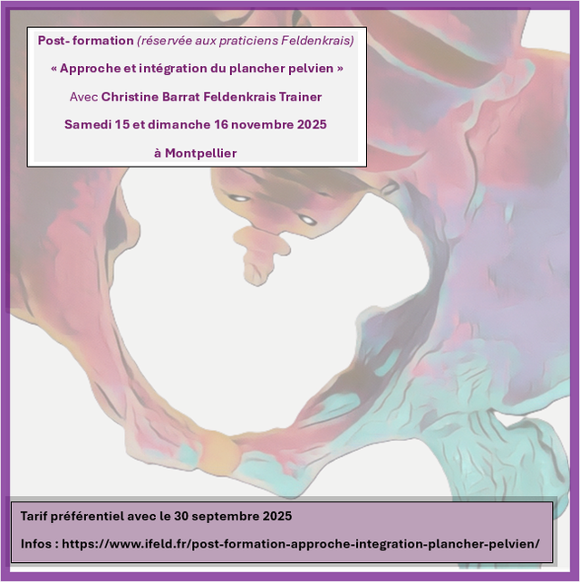 Post-formation Approche et intégration du plancher pelvien 15 et 16 novembre 2025